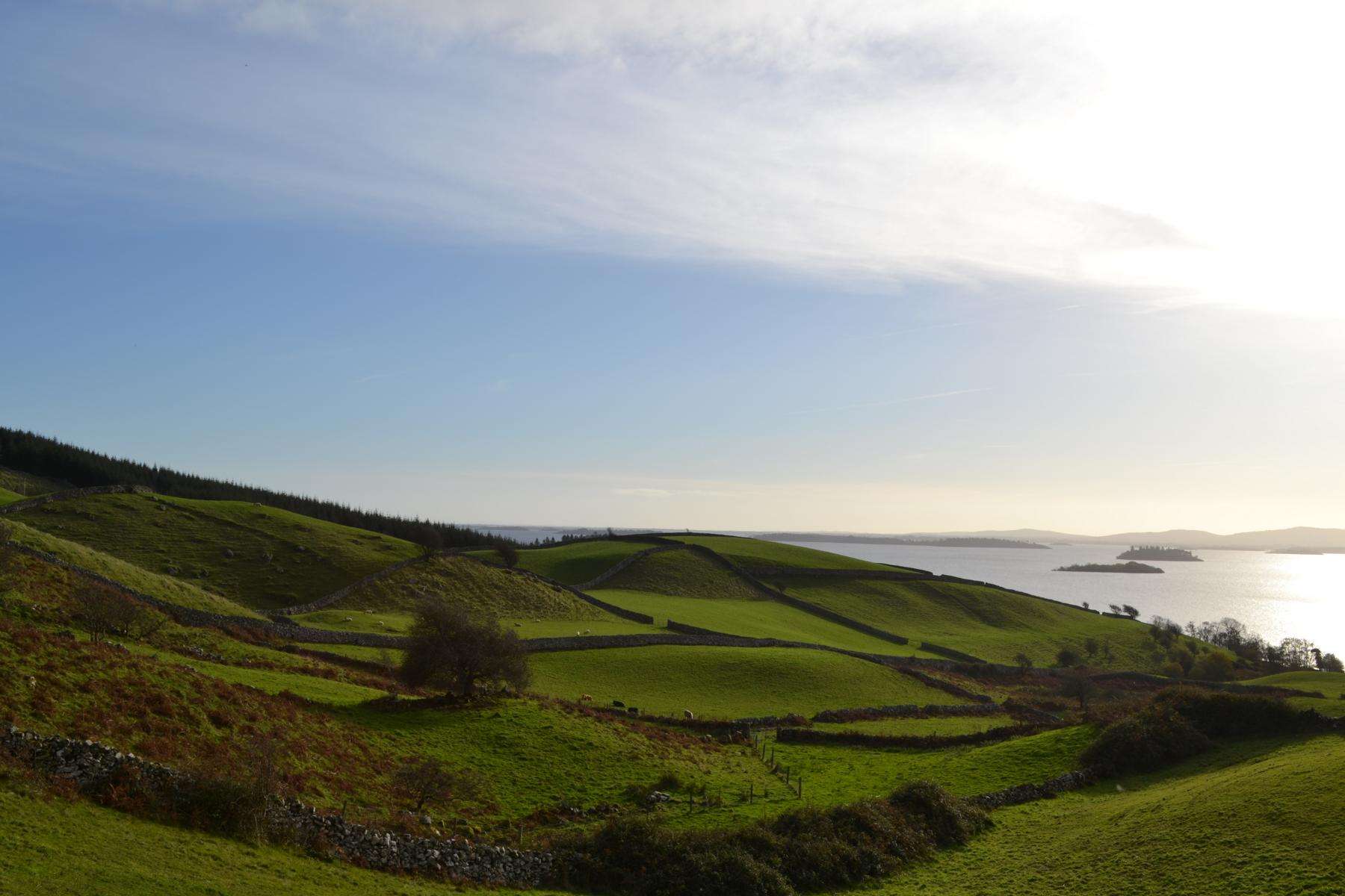 Ein kleiner Eindruck der wunderschönen, typisch irischen Landschaft darf natürlich nicht fehlen. Hier sind wir in Connemara im Nordwesten der grünen Insel.